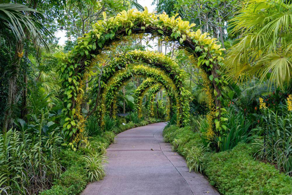 Flower Trail