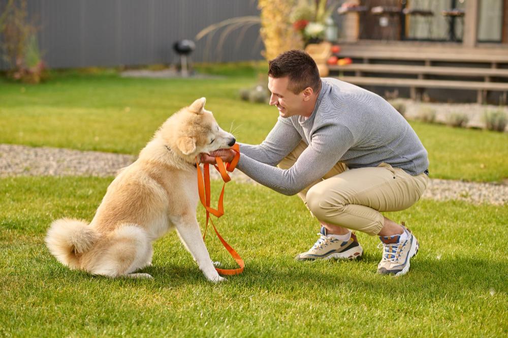 Pet Park