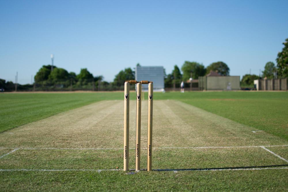 Cricket Pitch