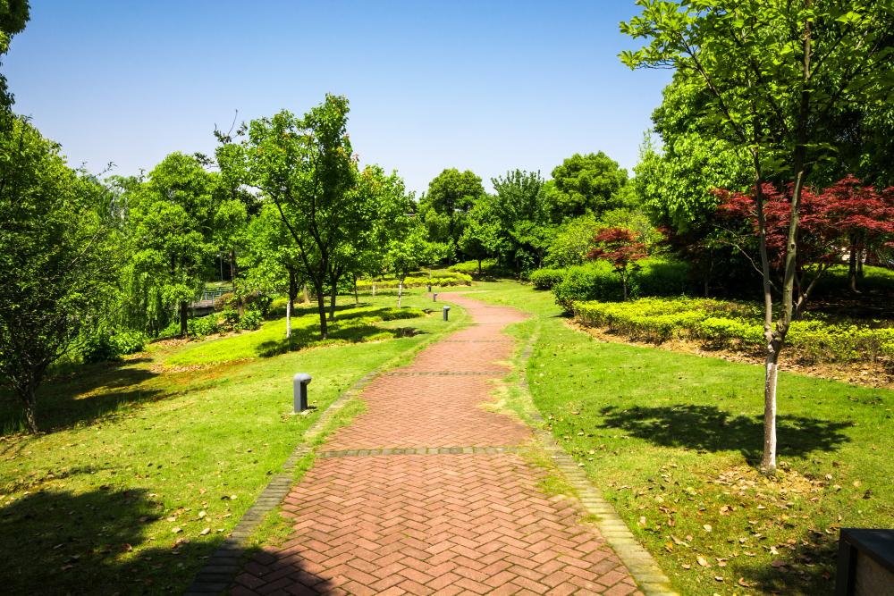 Reflexology Pathway