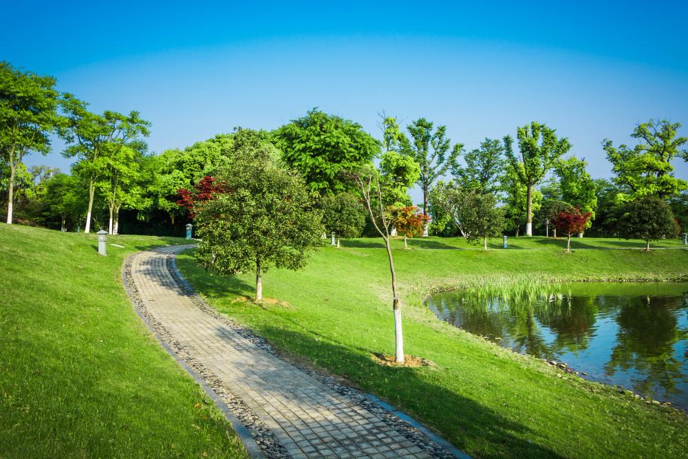 Apporoach to Lakefront Park