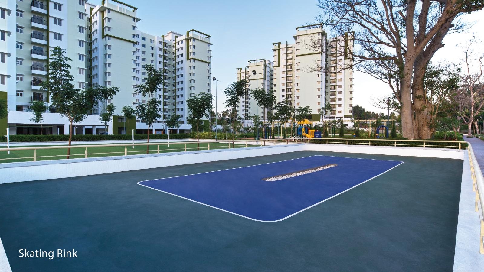 Skating Rink